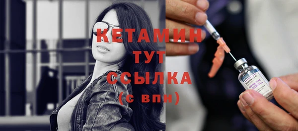 шишки Аркадак